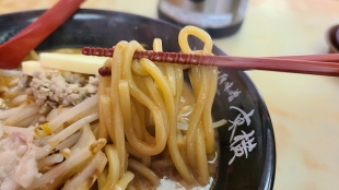 東横紫竹山　味噌ラーメン　麺