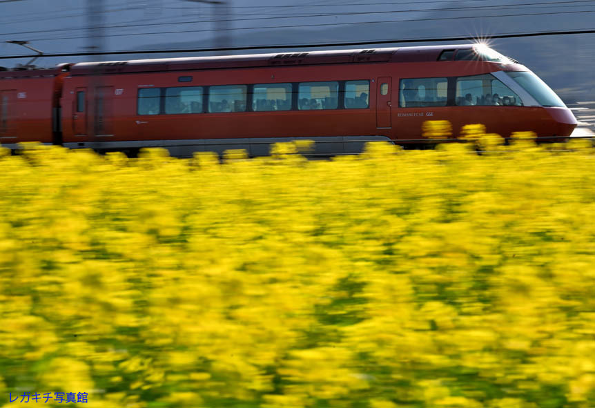 20210329_3.jpg