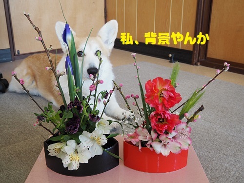 50背景か？