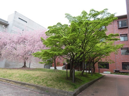 IMG_4170 京都大学東南アジア地域研究研究所