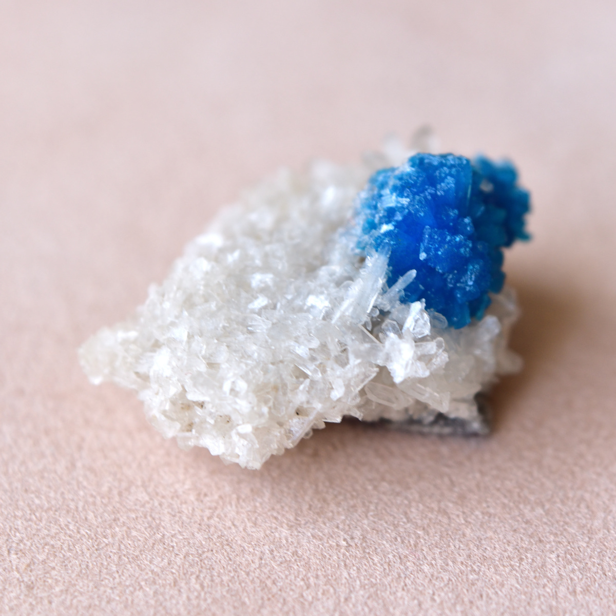 Sv925】*青い宝石* カバンサイトリング 12.5号 〜インド産