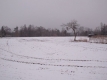 麦畑の雪