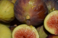 figs-1604064_1280.jpg