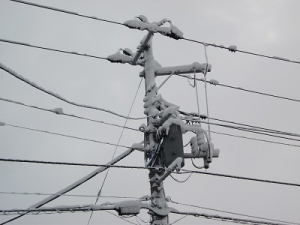 211205電線着雪