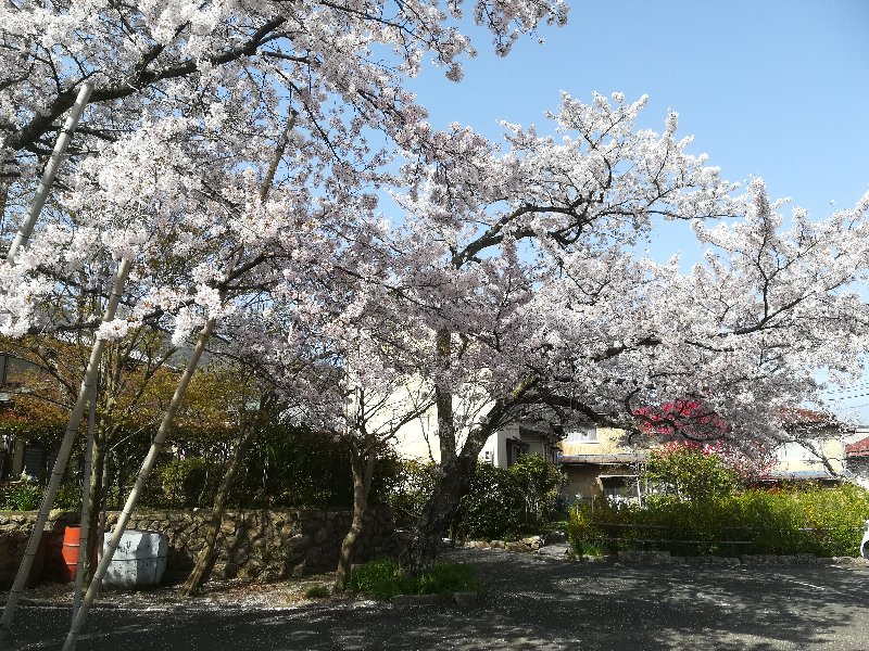 jouguujnjya2-tsuruga-021.jpg