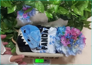 体重測定　あじさい　服　ぱんだ　怪獣（かぶりもの）