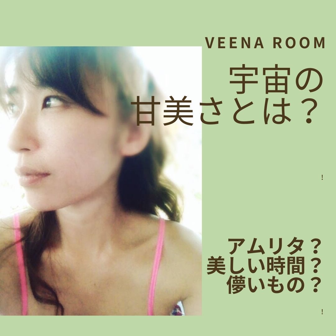 veena room (4)