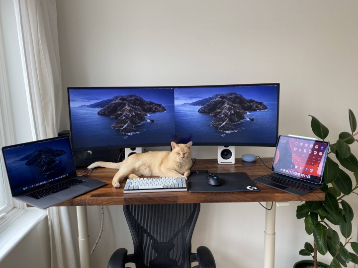PC_Desk_Cat_16.jpg