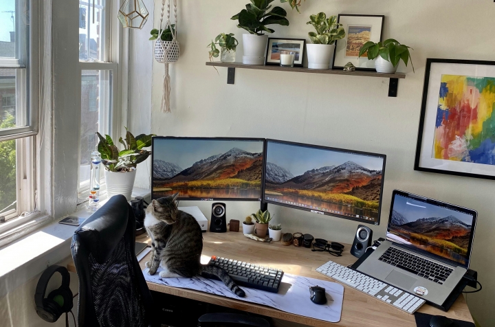 PC_Desk_Cat_21.jpg