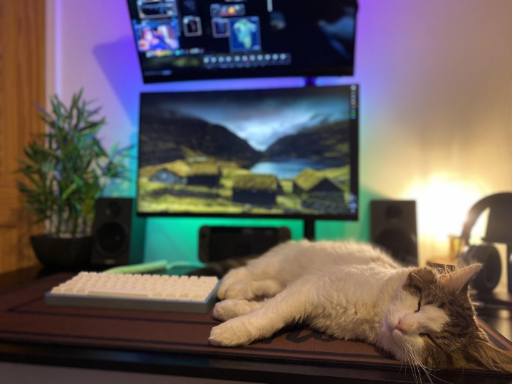 PC_Desk_Cat_28.jpg
