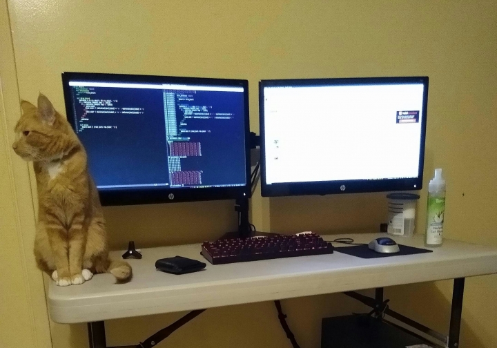 PC_Desk_Cat_35.jpg