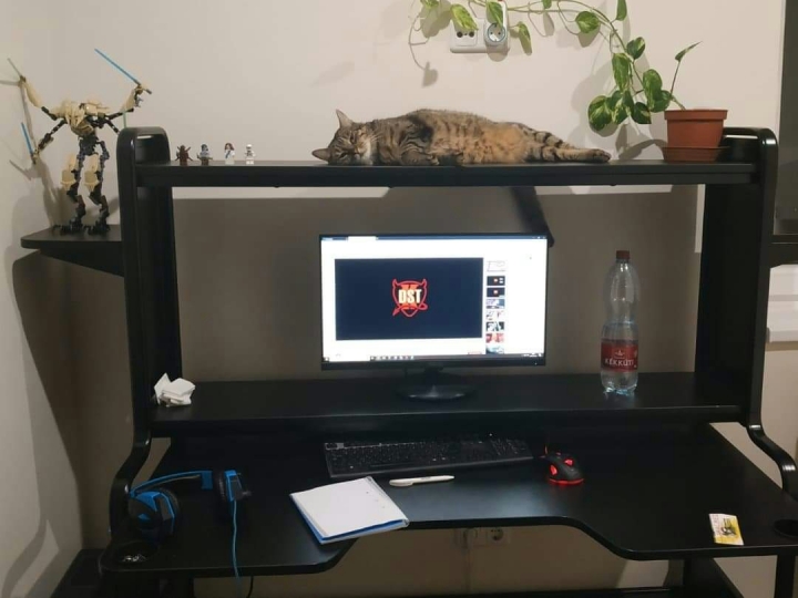 PC_Desk_Cat_37.jpg