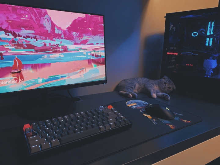 PC_Desk_Cat_38.jpg