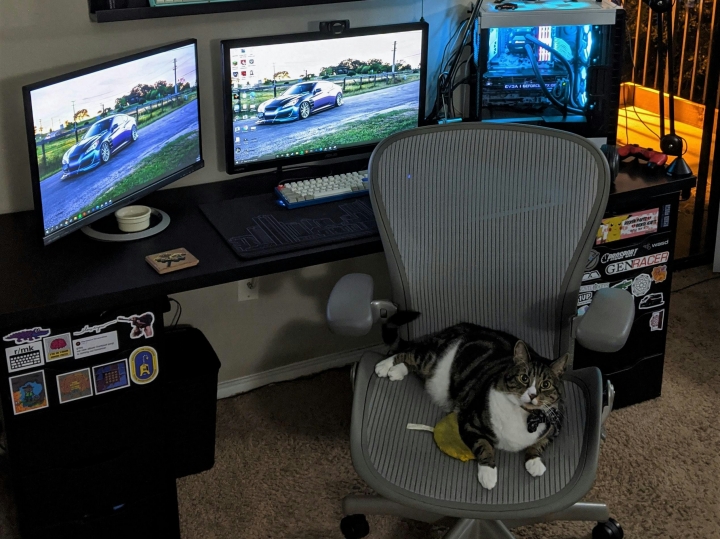 PC_Desk_Cat_40.jpg