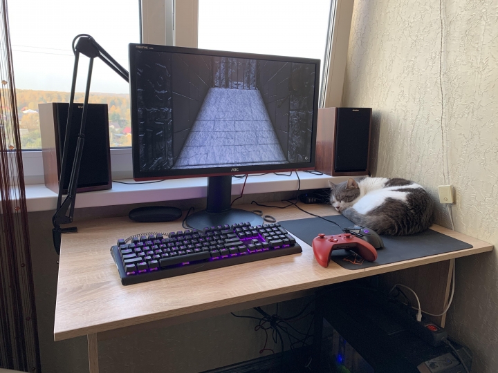PC_Desk_Cat_43.jpg