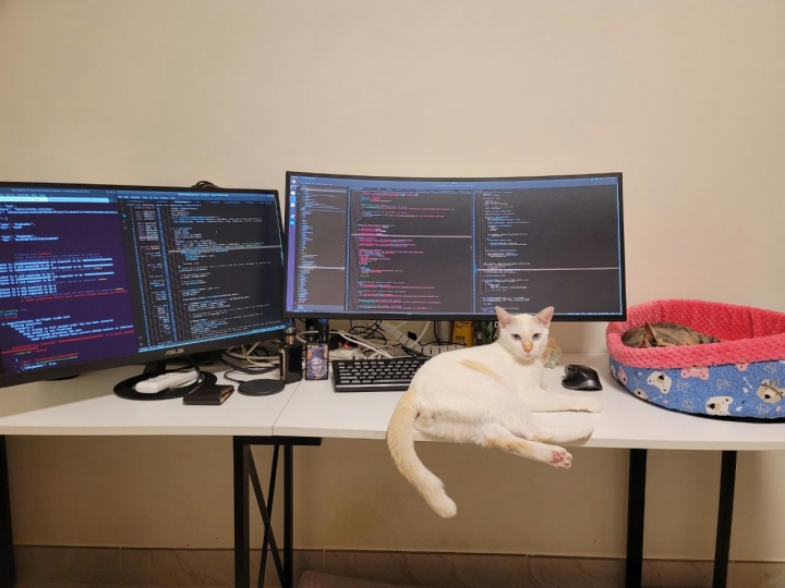 PC_Desk_Cat_58.jpg