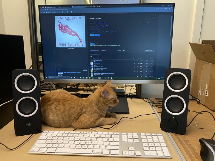 PC_Desk_Cat_61.jpg