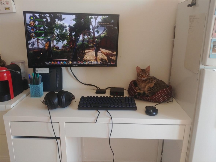 PC_Desk_Cat_64.jpg