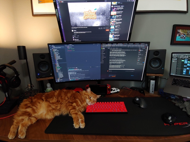 PC_Desk_Cat_68.jpg