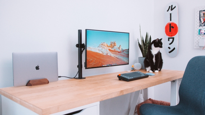PC_Desk_Cat_70.jpg