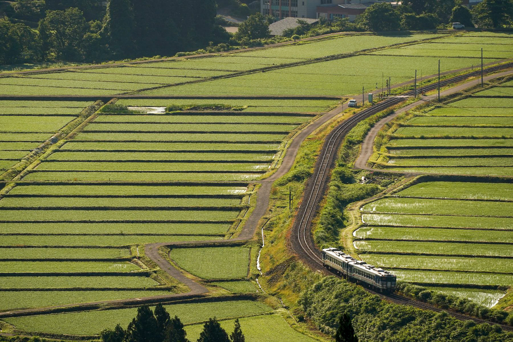 20200621_朝日が照らす水田が広がる山間を行く小出行きの一番列車