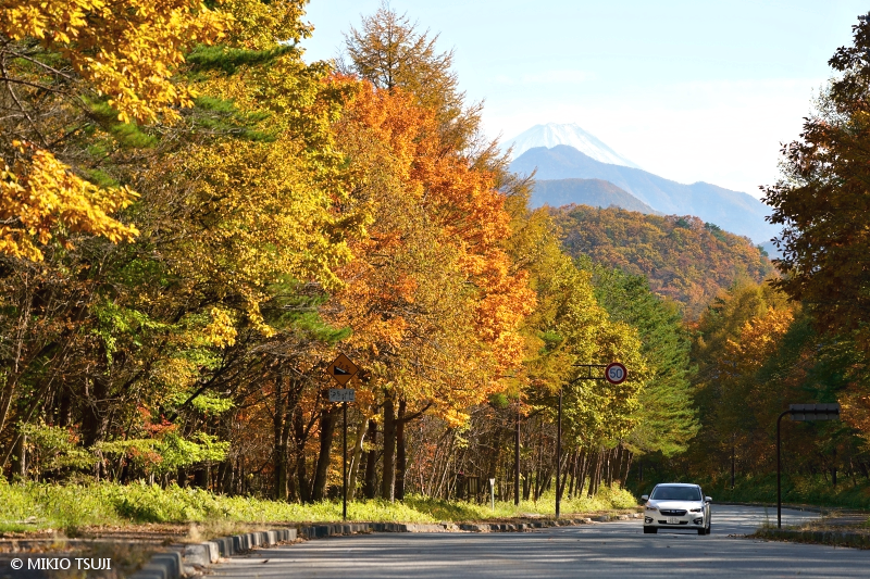 絶景探しの旅 - 絶景写真No.1866 富士山に続く秋の彩りの道 （清里/山梨県 北杜市）